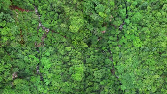 无人机俯拍佛光岩山谷森林4K