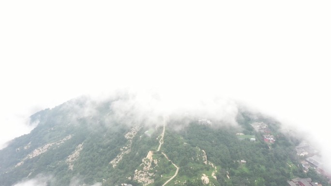 泰山云雾