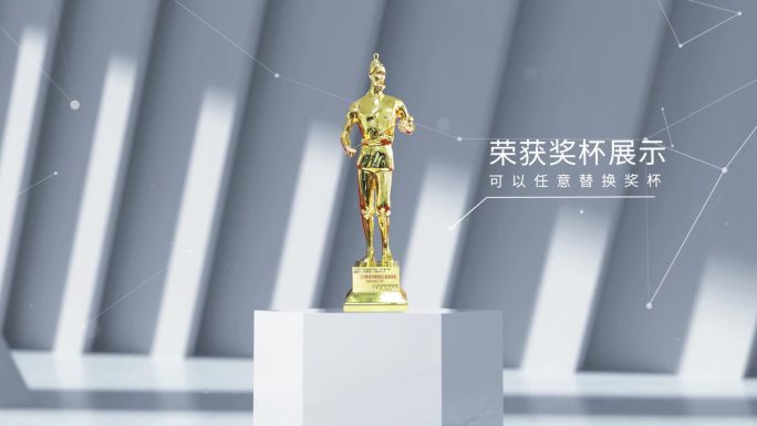 异形荣誉奖杯奖牌