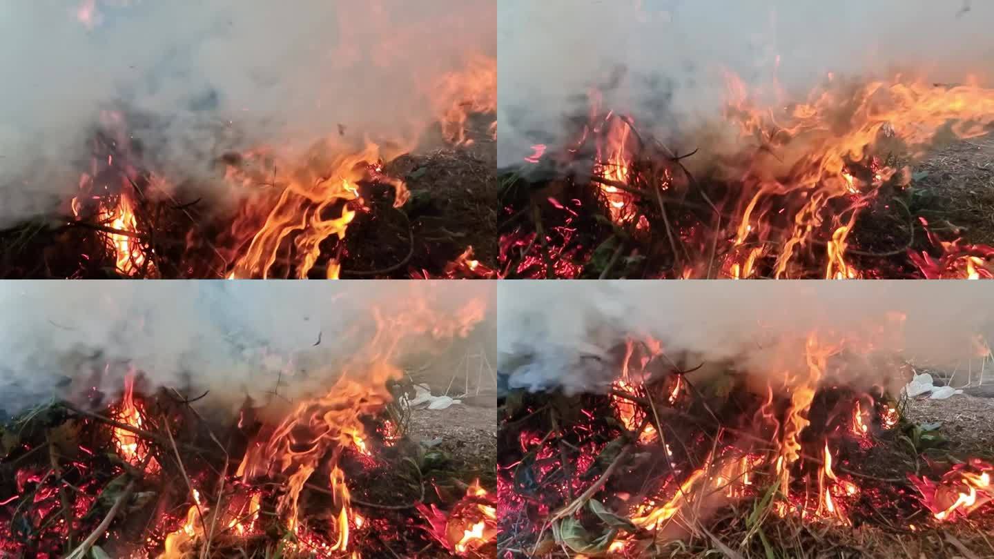 火焰烟雾 真实火焰燃烧 烧火堆 草堆烈火