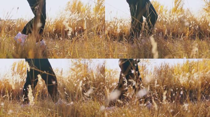 女孩走在金色芦苇荡草丛脚步特写升格空镜头