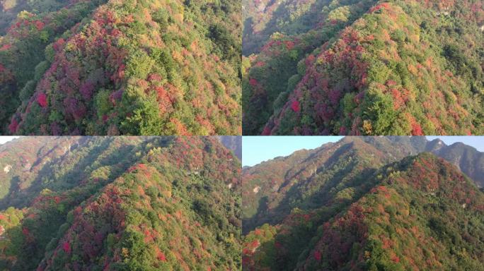 秦岭 翠华山 航拍 终南山 生态 自然