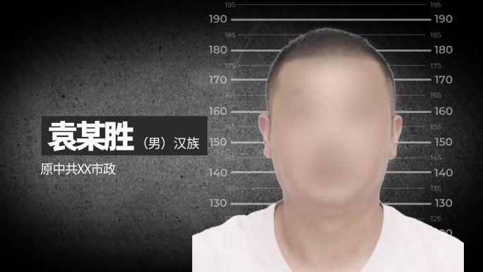 纪委纪检反腐 打击犯罪警示 嫌疑人介绍