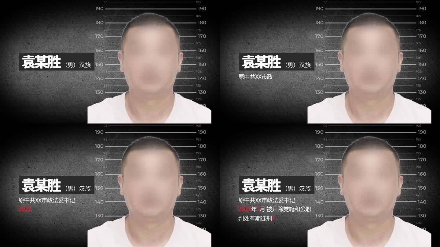 纪委纪检反腐 打击犯罪警示 嫌疑人介绍