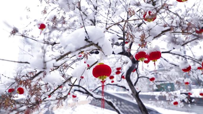 唯美红灯笼大雪瑞雪元旦春节喜庆霜降元宵节