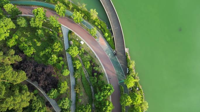 无人机航拍俯拍城市公园湖畔4K素材