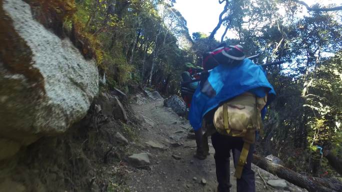 背包睡袋 背包走在悬崖边 背包穿过树林