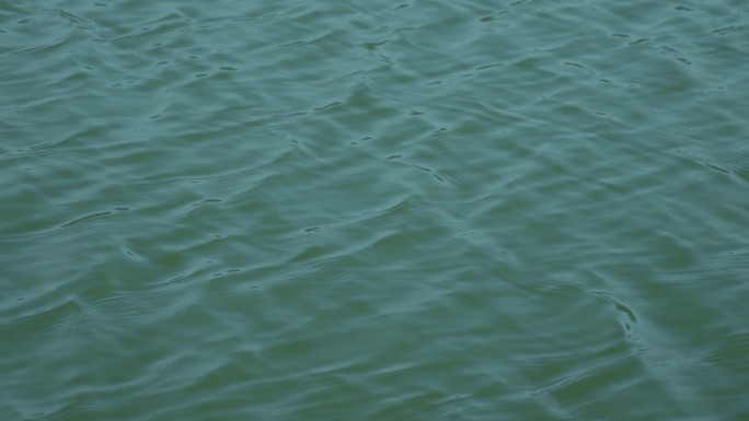 【4K】湖面海面河面水波水波纹2