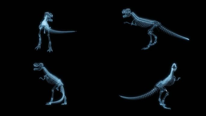 透视全息霸王龙骨架透明通道素材