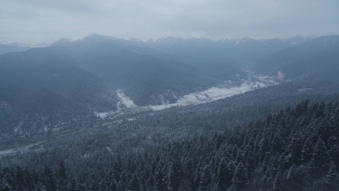 大雪纷飞的鲁朗林海