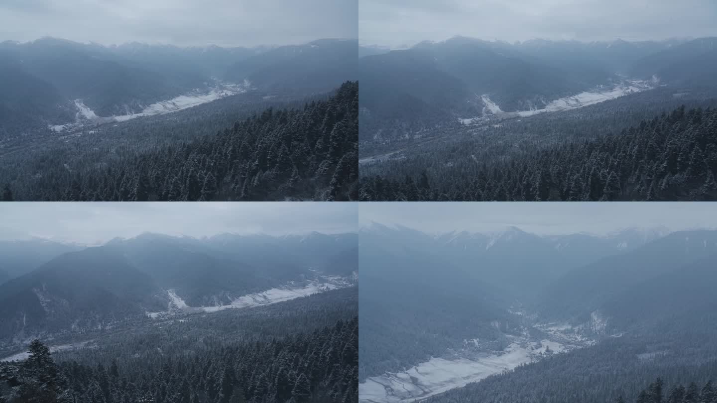 大雪纷飞的鲁朗林海