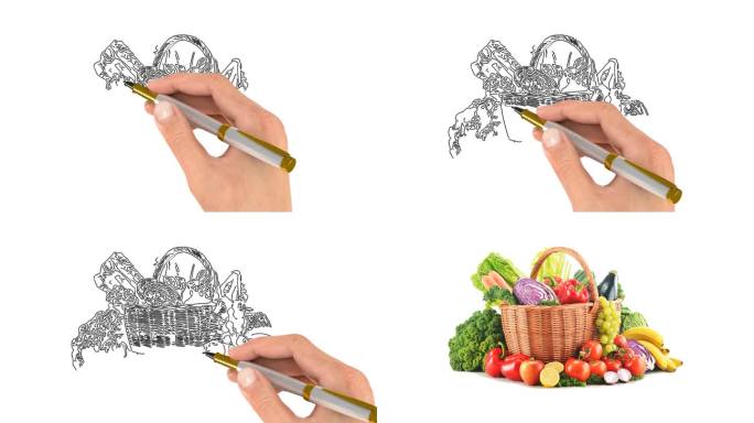 手绘各种蔬菜素材3