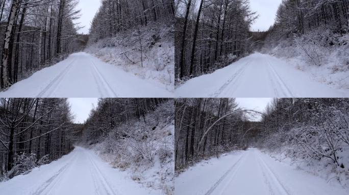 行驶在大兴安岭森林雪路上