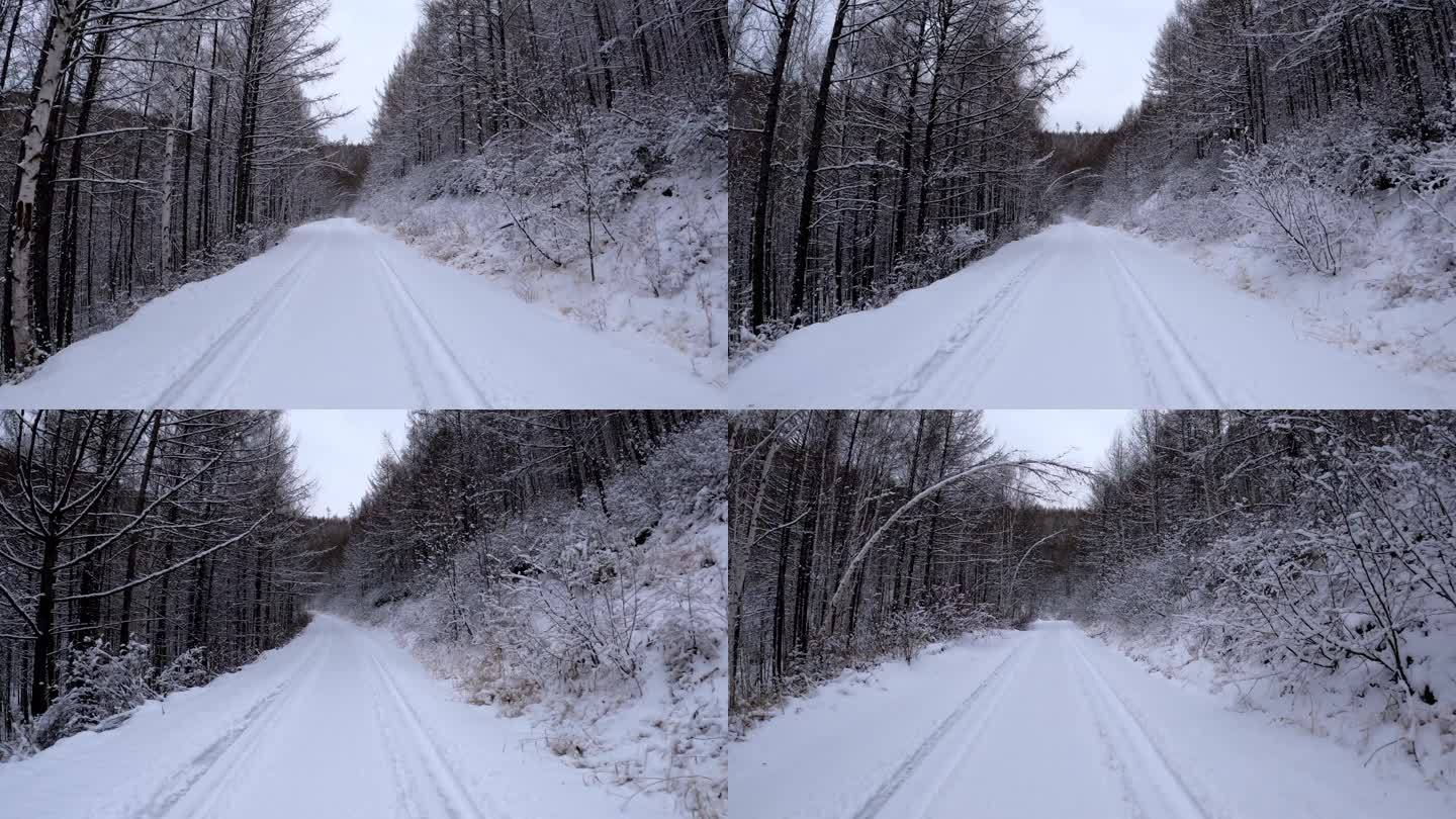 行驶在大兴安岭森林雪路上