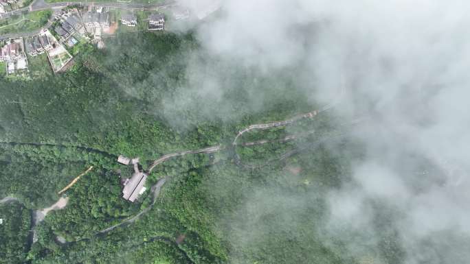 深圳 东部华侨城 大华兴寺 三洲田 云海