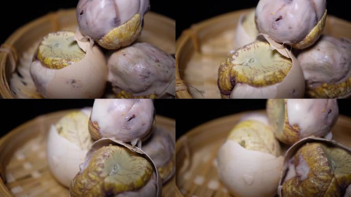 毛鸡蛋活珠子鸡胚蛋钢化蛋