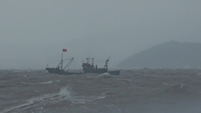 台风过后大海海鸥浪花浪涛中行船