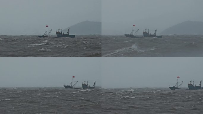 台风过后大海海鸥浪花浪涛中行船