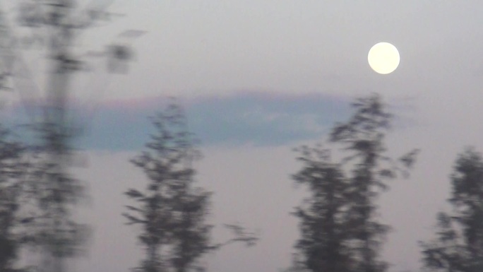 傍晚月亮跟拍
