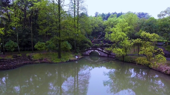 公园园林 湖泊桥梁 自然风光 实景航拍