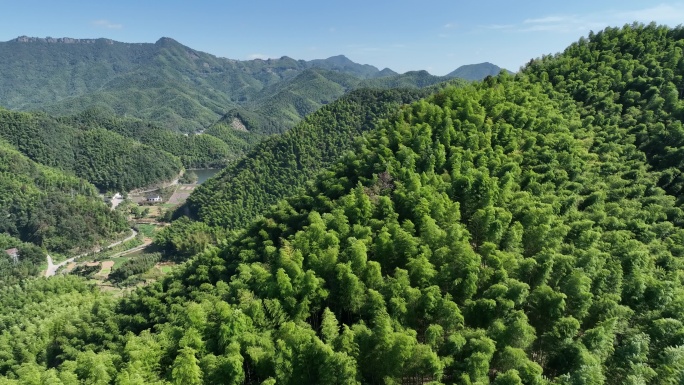 航拍江南浙江竹林竹海竹山毛竹山实拍原素材