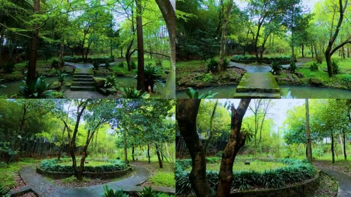 旅游景点 中医文化 传统文化 公园园林