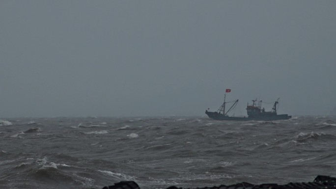 台风过后大海海鸥浪花浪涛中行船