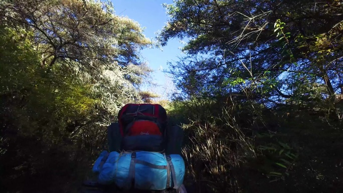 登山装  冲锋衣 背包睡袋 背包穿过树林