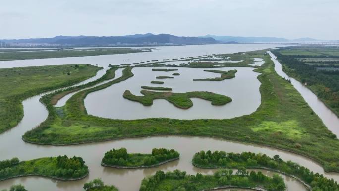 DJI0331浙江玉环漩门湾国家湿地公园