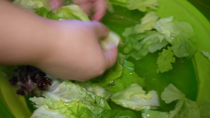 水盆清洗沙拉蔬菜生菜择菜