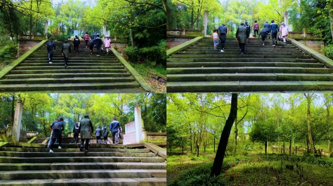 旅游景点 中医文化 传统文化 公园园林