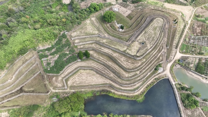 航拍浙江山区山地丘陵土地开发整理实拍素材