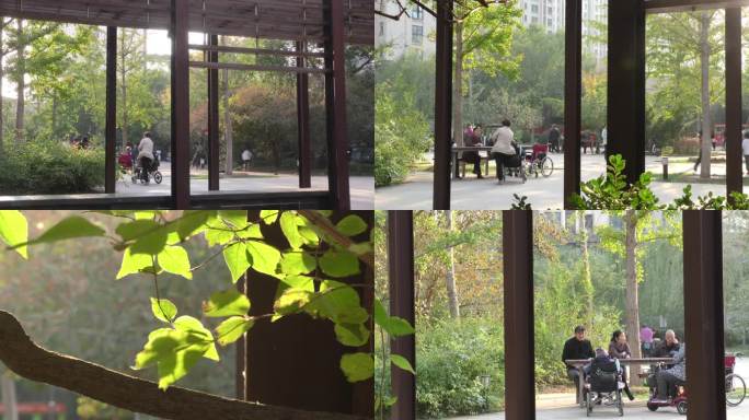 城市发展住房环境植物社区小区环境阳光树叶