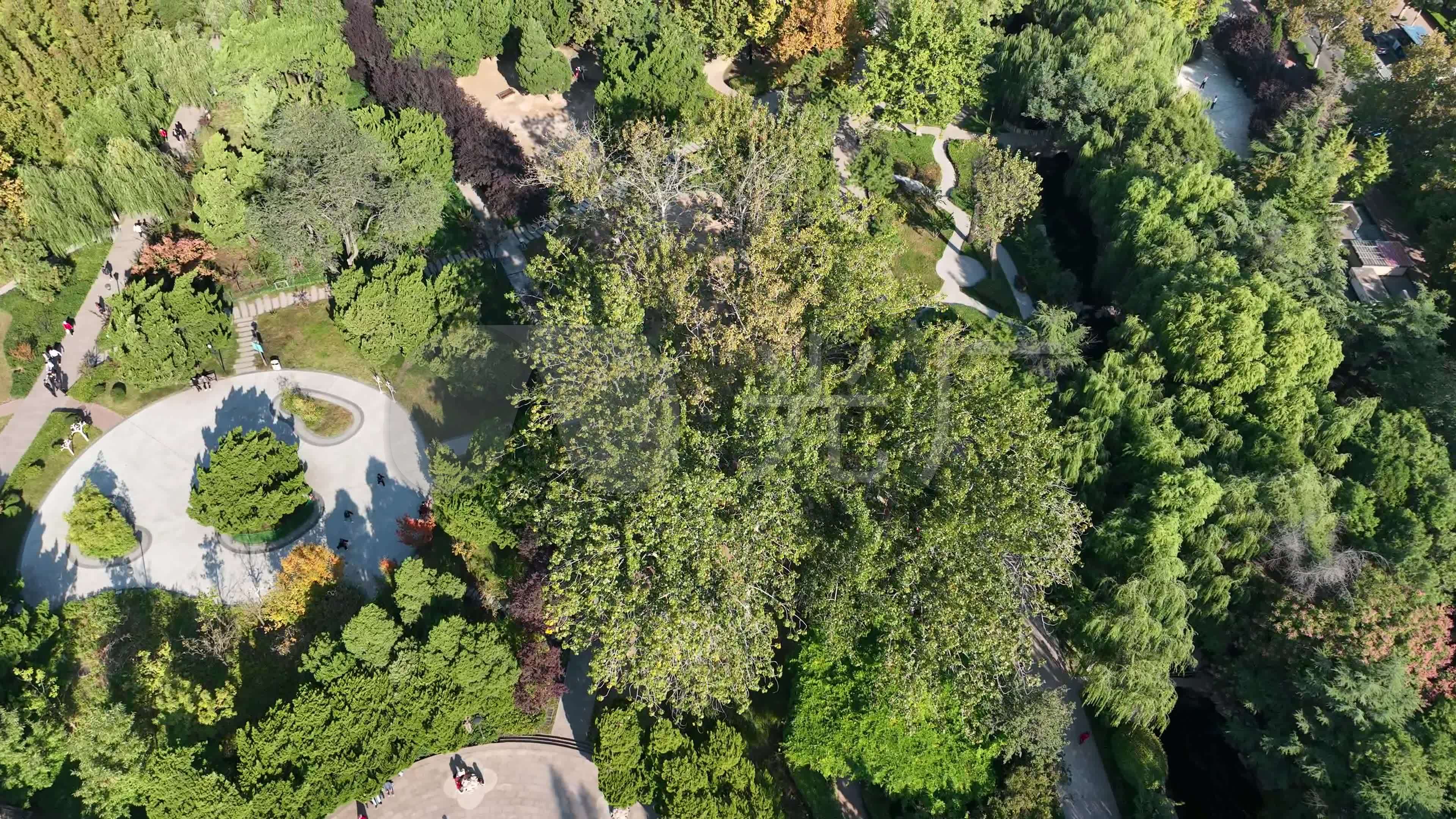 Panoramio - Photo of 青岛沧口公园 Cangkou park, Qingdao