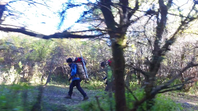 背包睡袋 背包穿过树林 背包沿河谷 旅行