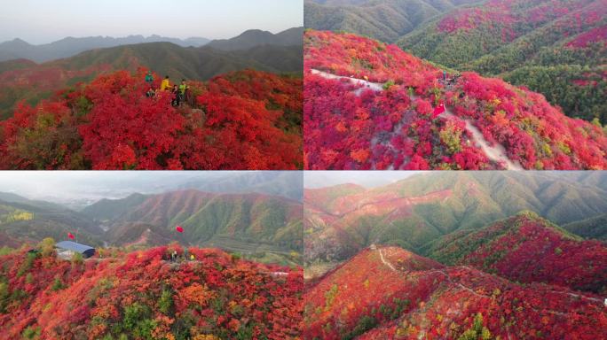 4K红叶太行山