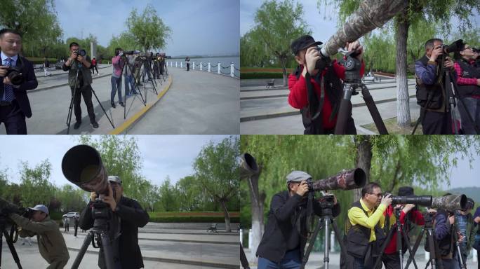 老年人摄影爱好者