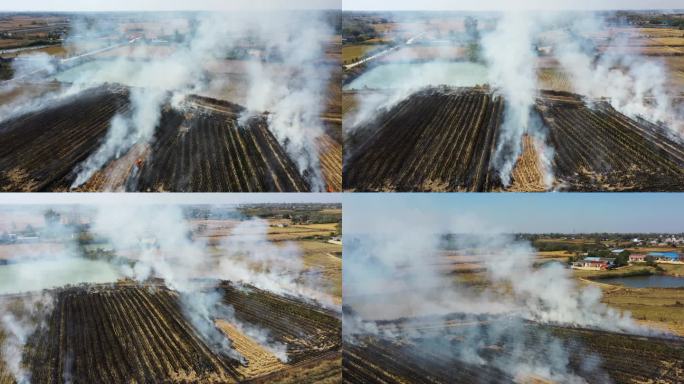 稻田燃烧焚烧秸秆 环境保护 黑烟 宣传片