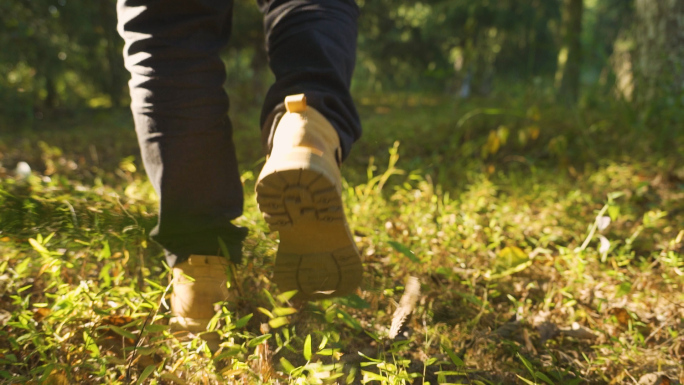 草地光影脚步特写林间漫步旅行者概念视频