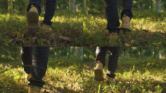 草地光影脚步特写林间漫步旅行者概念视频