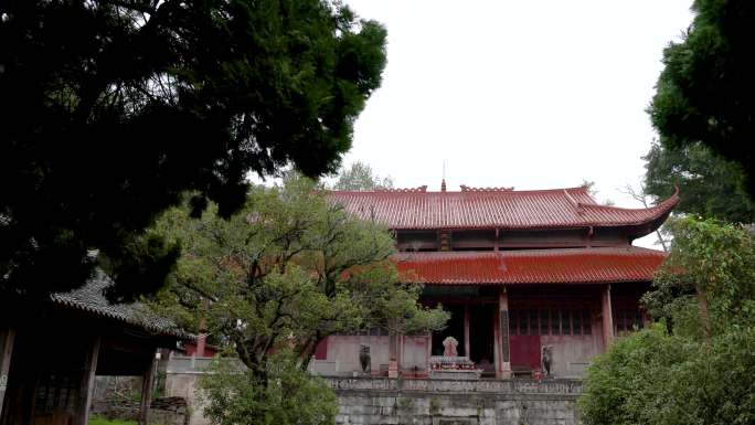 清溪文庙院子里的古树与主体建筑大成殿