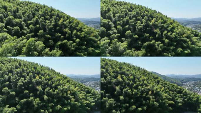 航拍江南浙江竹林竹山竹海毛竹山村农村素材