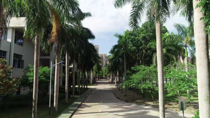 椰子树园区 海南产业园 热地产业园