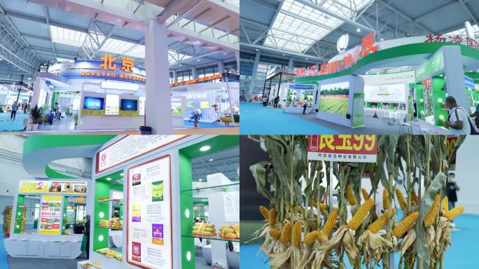 杨凌农高会 展馆 农业 玉米 种子