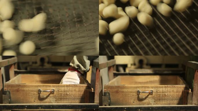 制作面豆