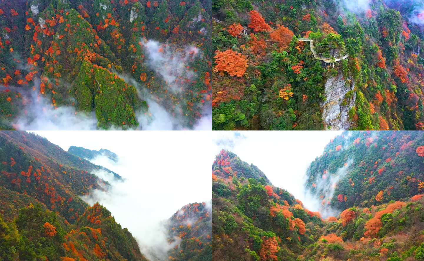 巴山大峡谷秋季彩林云海航拍4K