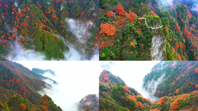 巴山大峡谷秋季彩林云海航拍4K