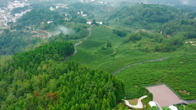 贵阳观山湖神鹊茶场