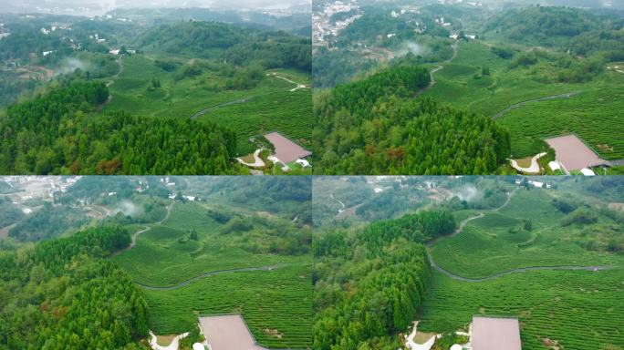 贵阳观山湖神鹊茶场