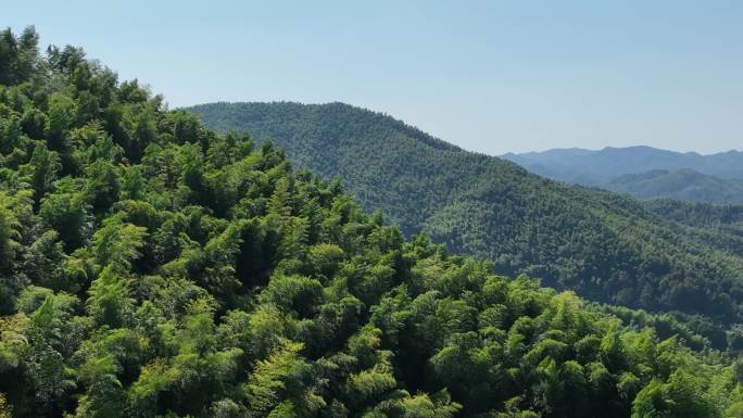 航拍江南浙江竹林竹山竹海毛竹山农村蓝天